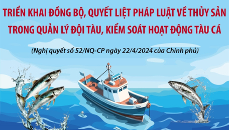 Chương trình hành động của Chính phủ chống khai thác thủy sản bất hợp pháp: Triển khai đồng bộ, quyết liệt pháp luật về thủy sản trong quản lý đội tàu, kiểm soát hoạt động tàu cá