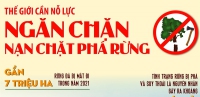 Thế giới cần nỗ lực ngăn chặn nạn chặt phá rừng