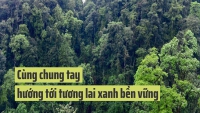 Thanh niên Việt Nam hành động vì khí hậu hướng tới tương lai ‘xanh’