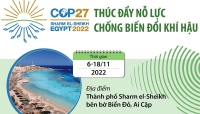 COP27 thúc đẩy nỗ lực chống biến đổi khí hậu