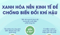 Xanh hóa nền kinh tế để chống biến đổi khí hậu