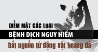 Các loại bệnh dịch nguy hiểm bắt nguồn từ động vật hoang dã