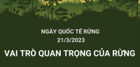 Ngày quốc tế Rừng 21/3/2023: “Rừng và Sức khỏe”