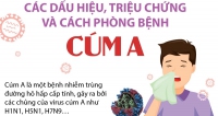 Các dấu hiệu, triệu chứng và cách phòng bệnh cúm A