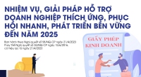 Nhiệm vụ, giải pháp hỗ trợ DN thích ứng, phục hồi nhanh, phát triển bền vững đến năm 2025