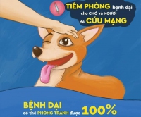 Tăng cường các biện pháp cấp bách phòng, chống bệnh Dại