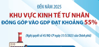 Đến năm 2025, khu vực kinh tế tư nhân đóng góp vào GDP đạt khoảng 55%