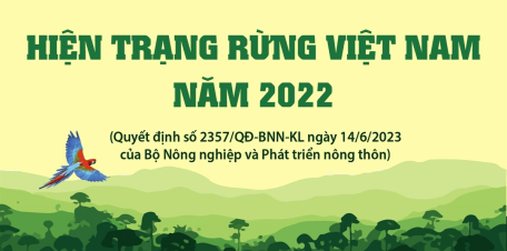 Hiện trạng rừng Việt Nam năm 2022