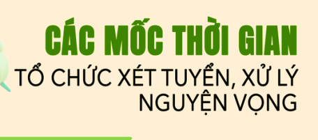 Tổ chức xét tuyển, xử lý nguyện vọng từ ngày 12 đến 20/8