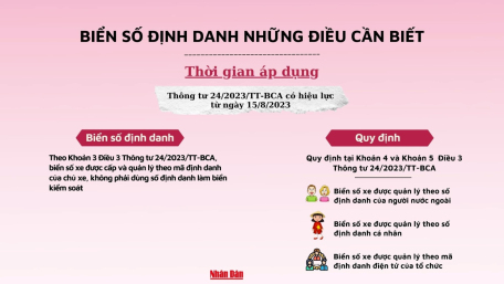 Những điều cần biết về biển số định danh