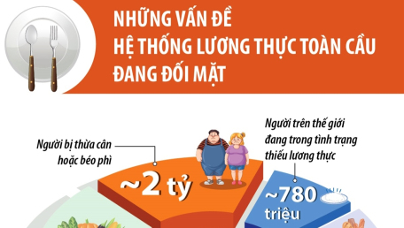 Những vấn đề hệ thống lương thực toàn cầu đang đối mặt