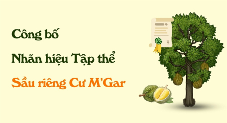 Công bố Nhãn hiệu Tập thể Sầu riêng Cư M’Gar