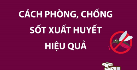 Cách phòng, chống sốt xuất huyết hiệu quả