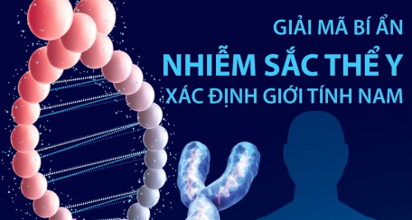 Giải mã bí ẩn nhiễm sắc thể Y xác định giới tính nam