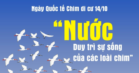 Ngày Quốc tế Chim di cư 14/10 “Nước: Duy trì sự sống của các loài chim”