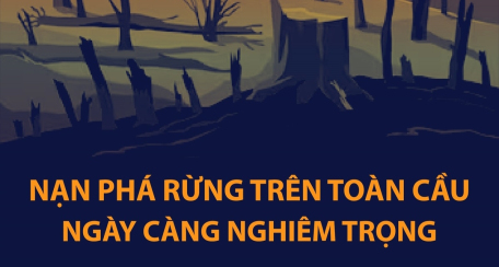 Nạn phá rừng trên toàn cầu ngày càng nghiêm trọng