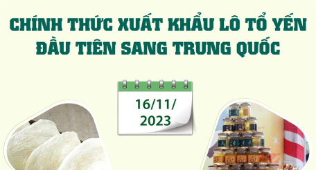 Chính thức xuất khẩu lô tổ yến đầu tiên sang Trung Quốc