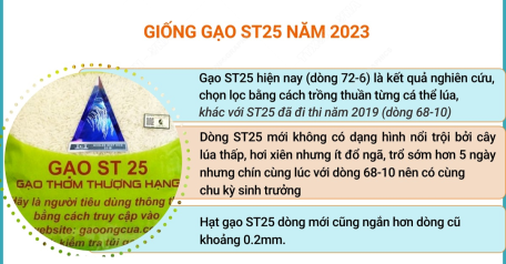 Gạo ST25 lần thứ 2 đoạt giải Gạo ngon nhất thế giới