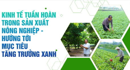 Phát triển kinh tế tuần hoàn trong nông nghiệp thời gian tới