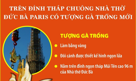 Trên đỉnh tháp chuông Nhà thờ Đức Bà Paris có tượng gà trống mới