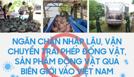 Ngăn chặn nhập lậu, vận chuyển trái phép động vật, sản phẩm động vật qua biên giới vào Việt Nam