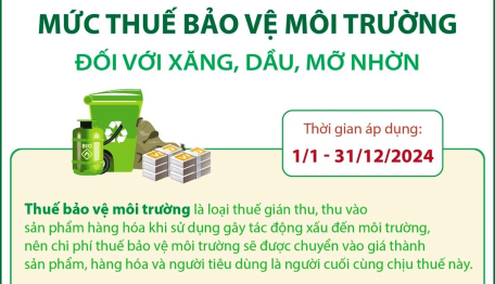 Mức thuế bảo vệ môi trường đối với xăng, dầu, mỡ nhờn từ 1/1/2024