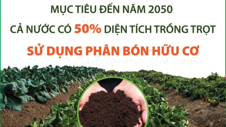 Mục tiêu đến năm 2050: Cả nước có 50% diện tích trồng trọt sử dụng phân bón hữu cơ