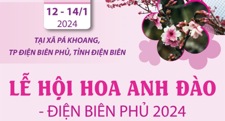 Lễ hội Hoa anh đào - Điện Biên Phủ năm 2024