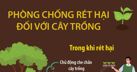 Phòng chống rét hại đối với cây trồng