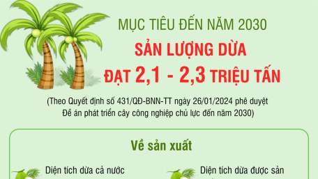 Mục tiêu đến năm 2030, sản lượng dừa đạt 2,1 - 2,3 triệu tấn