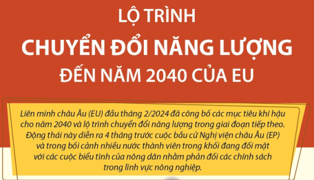 Lộ trình chuyển đổi năng lượng đến năm 2040 của EU