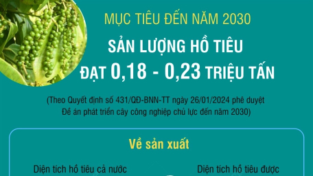 Mục tiêu đến năm 2030, sản lượng hồ tiêu đạt 0,18 - 0,23 triệu tấn