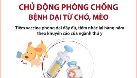 Chủ động phòng chống bệnh dại từ chó, mèo