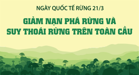 Ngày Quốc tế Rừng 21/3: “Rừng và Đổi mới: Giải pháp mới cho một thế giới tốt đẹp hơn”