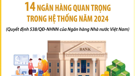 14 ngân hàng quan trọng trong hệ thống năm 2024