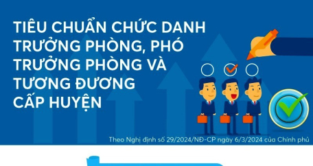 Tiêu chuẩn chức danh Trưởng phòng, Phó Trưởng phòng cấp huyện