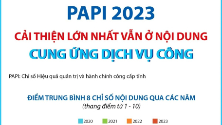 PAPI 2023: Cải thiện lớn nhất vẫn ở nội dung Cung ứng dịch vụ công