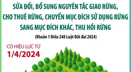 Sửa đổi, bổ sung nguyên tắc giao rừng, cho thuê rừng, chuyển mục đích sử dụng rừng sang mục đích khác, thu hồi rừng