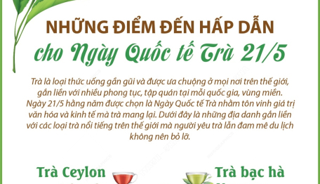 Những điểm đến hấp dẫn cho Ngày Quốc tế Trà 21/5