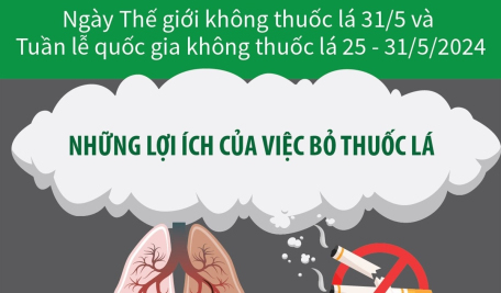 Ngày Thế giới không thuốc lá 31/5 và Tuần lễ quốc gia không thuốc 25 - 31/5/2024: Những lợi ích lâu dài của việc bỏ thuốc lá