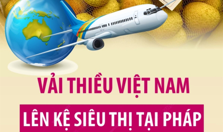 Vải thiều Việt Nam lên kệ siêu thị tại Pháp