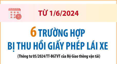 6 trường hợp bị thu hồi giấy phép lái xe từ 1/6/2024