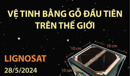 Vệ tinh bằng gỗ đầu tiên trên thế giới