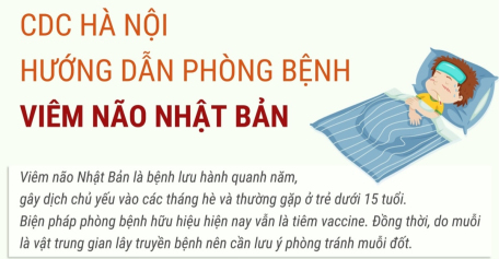 CDC Hà Nội hướng dẫn phòng bệnh viêm não Nhật Bản