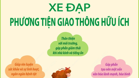 Xe đạp - phương tiện giao thông hữu ích