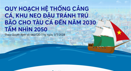 Quy hoạch hệ thống cảng cá, khu neo đậu tránh trú bão cho tàu cá đến năm 2030 tầm nhìn 2050
