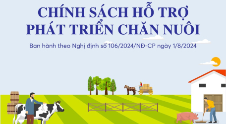 Chính sách hỗ trợ phát triển chăn nuôi