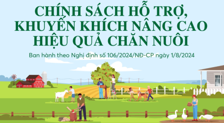 Chính sách hỗ trợ, khuyến khích nâng cao hiệu quả chăn nuôi