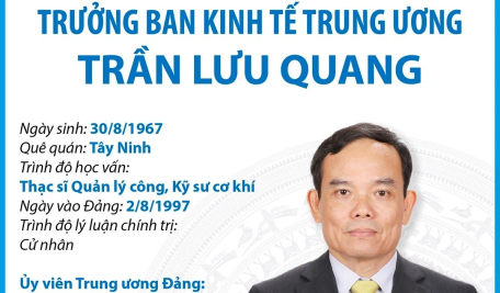 Trưởng Ban Kinh tế Trung ương Trần Lưu Quang