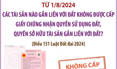 Từ 1/8/2024: Các tài sản nào gắn liền với đất không được cấp Giấy chứng nhận quyền sử dụng đất, quyền sở hữu tài sản gắn liền với đất?